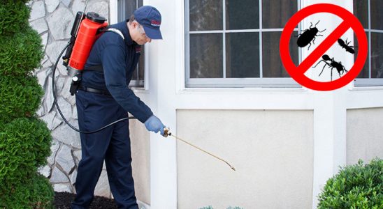 Çatak Karınca İlaçlama böcek ilaçlama ve haşere kontrolü — ilaclama-tr.com